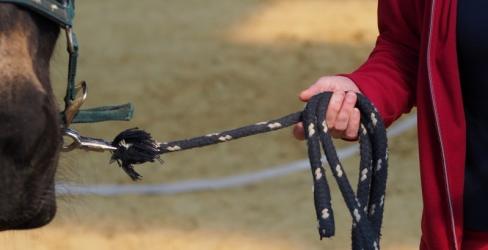 Die Kunst der Führung Die Kunst der Führung