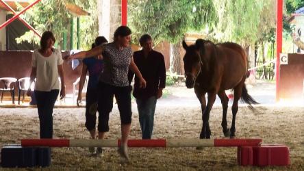 Teamentwicklung Teamentwicklung